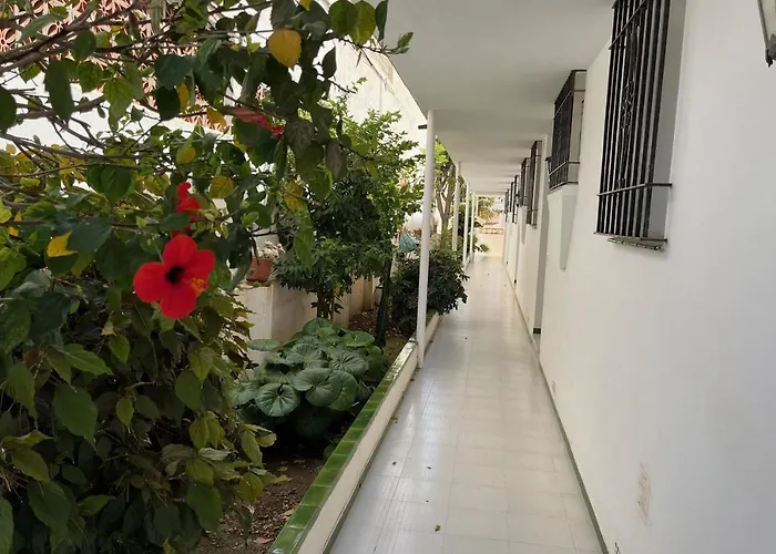 Paradise - El Califa 3 Apartment *