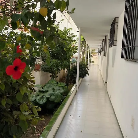 Paradise - El Califa 3 Appartement *